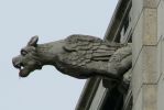 PICTURES/Paris Day 3 - Sacre Coeur & Montmatre/t_Gargoyle3.JPG